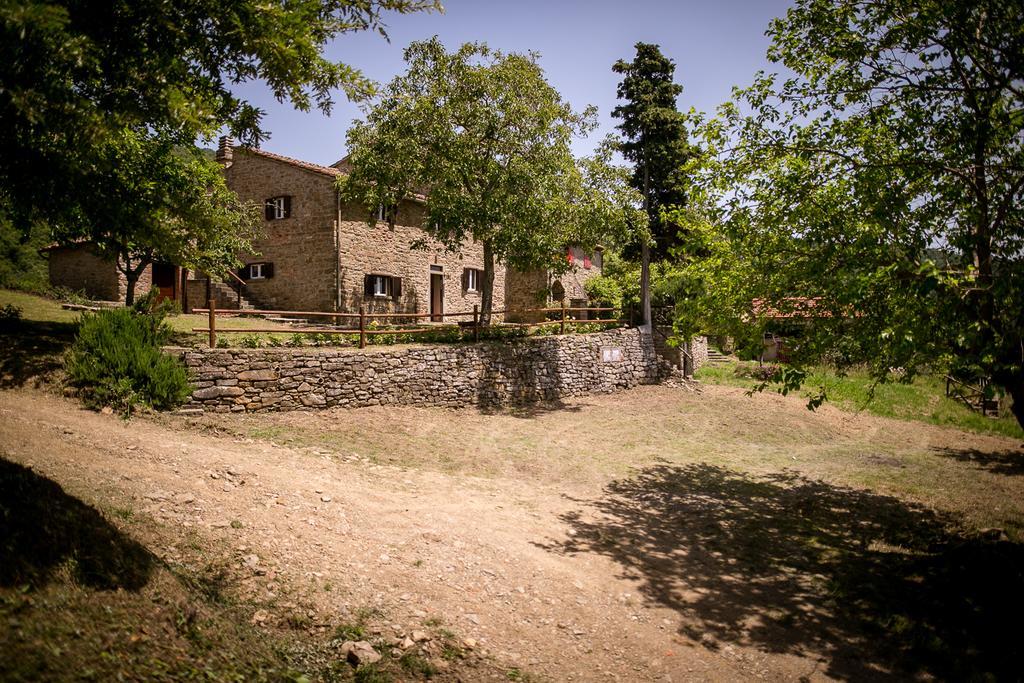 شقة Borgo Al Teto La Vite كاستيجليون فيورنتينو المظهر الخارجي الصورة