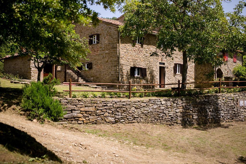 شقة Borgo Al Teto La Vite كاستيجليون فيورنتينو المظهر الخارجي الصورة